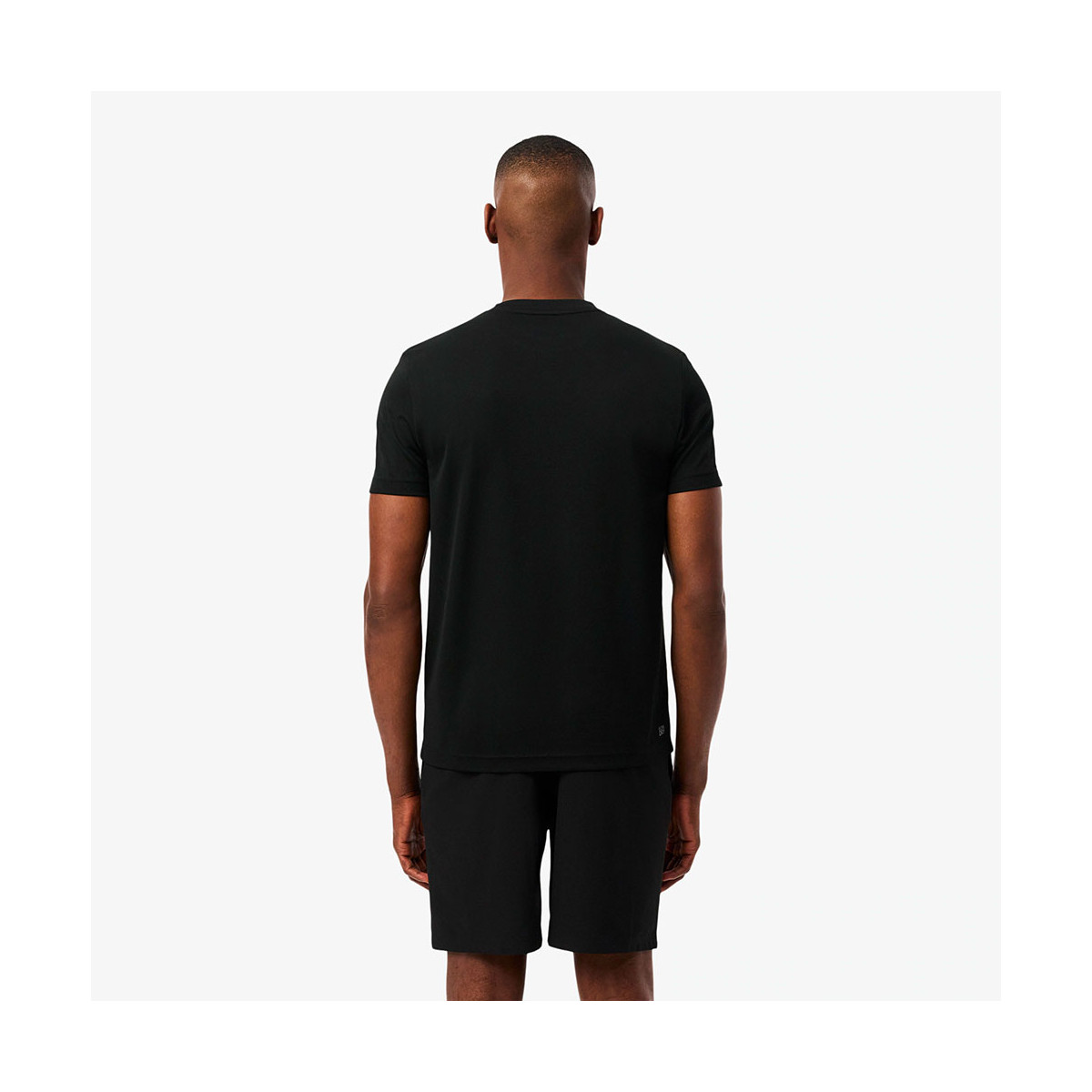 Short Lacoste Tennis x Novak Djokovic Vert Sapin