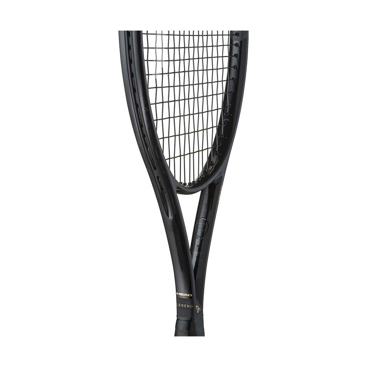 Head Speed Legend MP 2024 (300g) Tennisracket