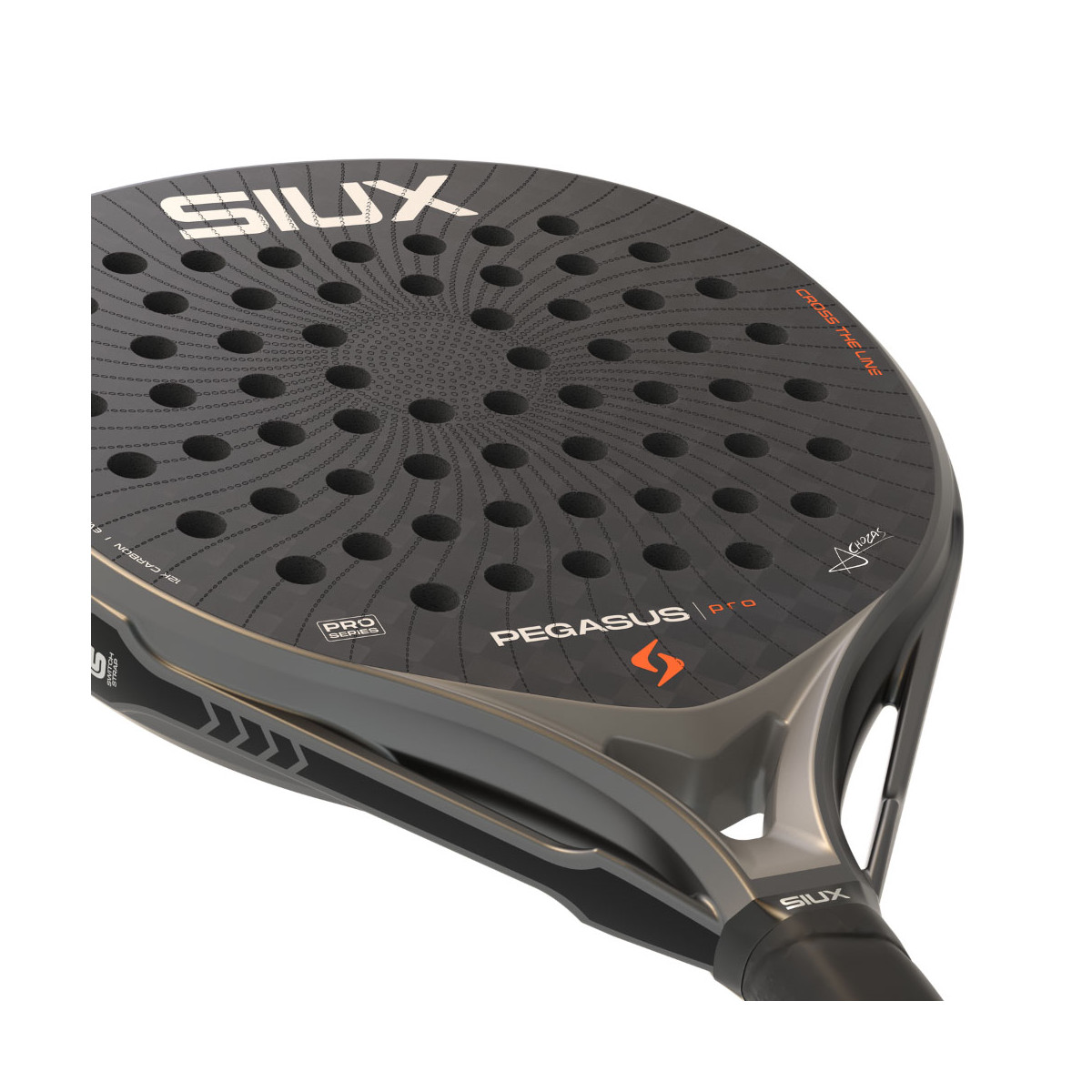 Siux Pegasus Pro 2026 Padelracket