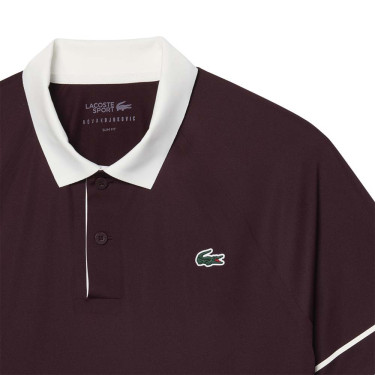 Polo Lacoste Tennis Novak Djokovic On Court Marron / Blanc