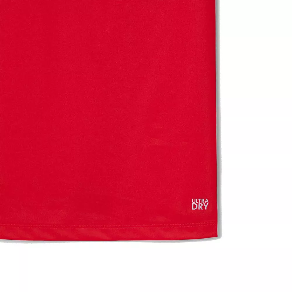 Polo Lacoste Tennis Novak Djokovic Player Rouge / Bordeaux
