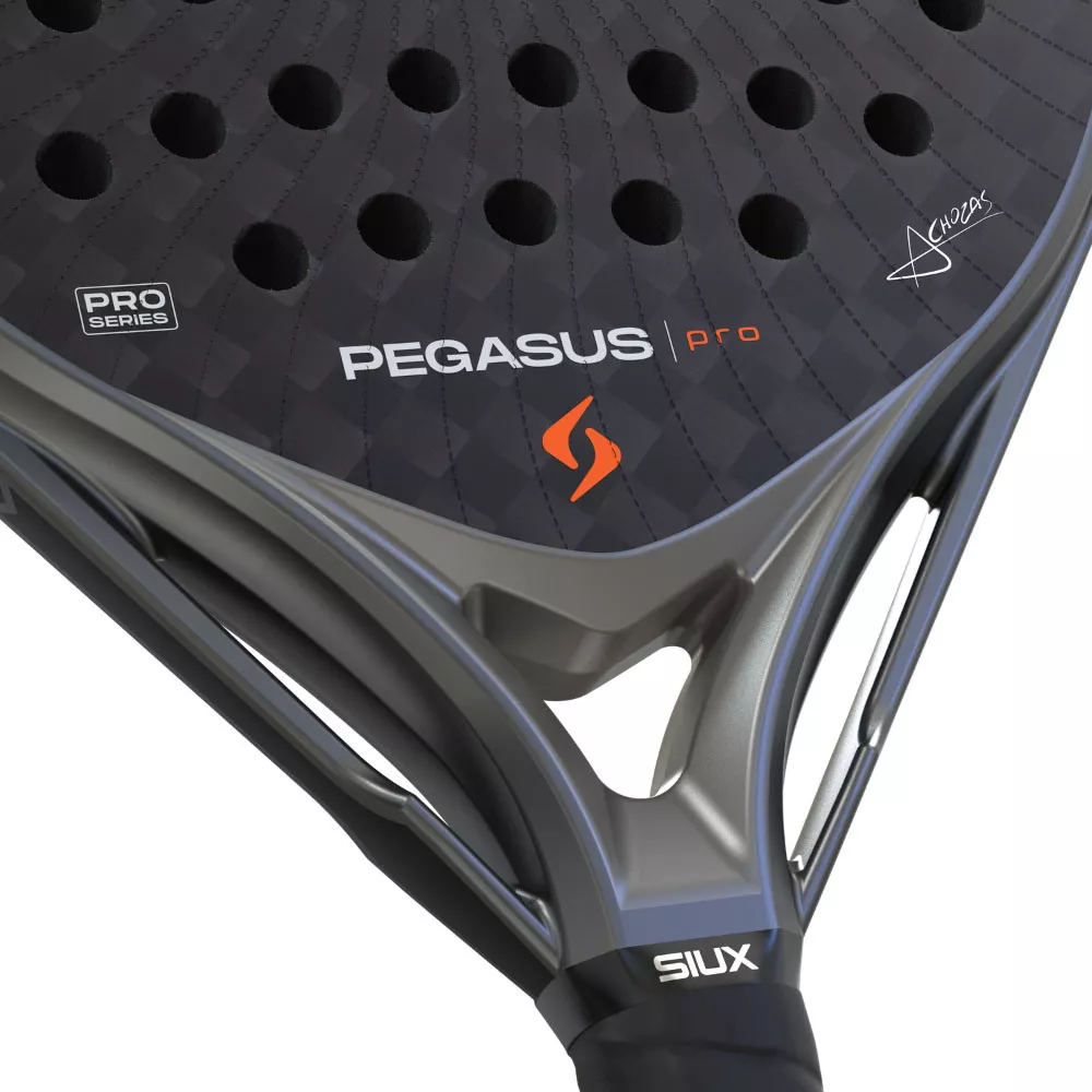 Siux Pegasus Pro 2026 Padelracket