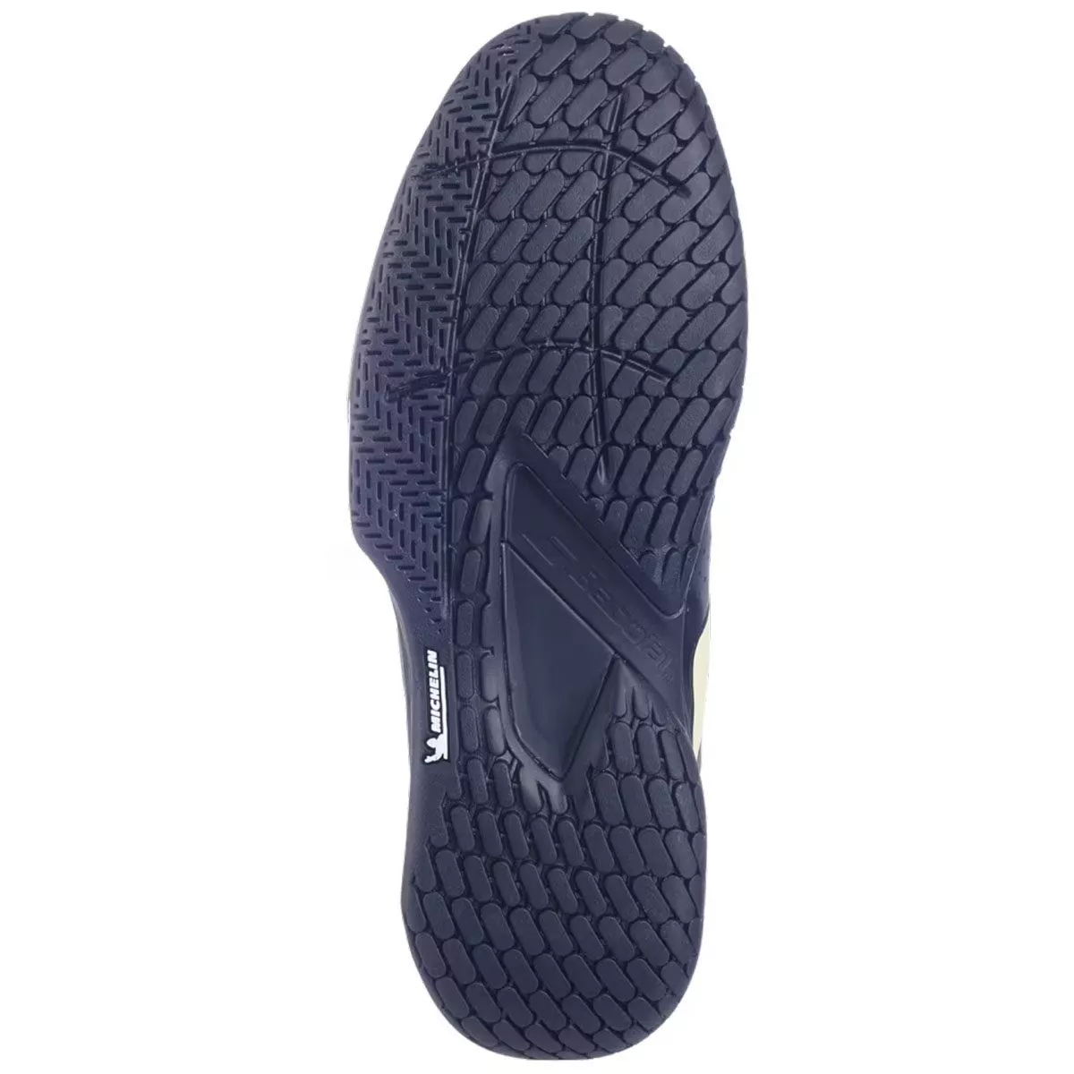 Chaussures Babolat Propulse Storm AC Noir / Bleu