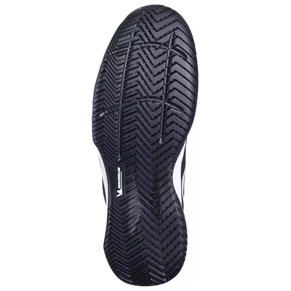 Chaussures Babolat SFX Evo All Court Noir / Bleu